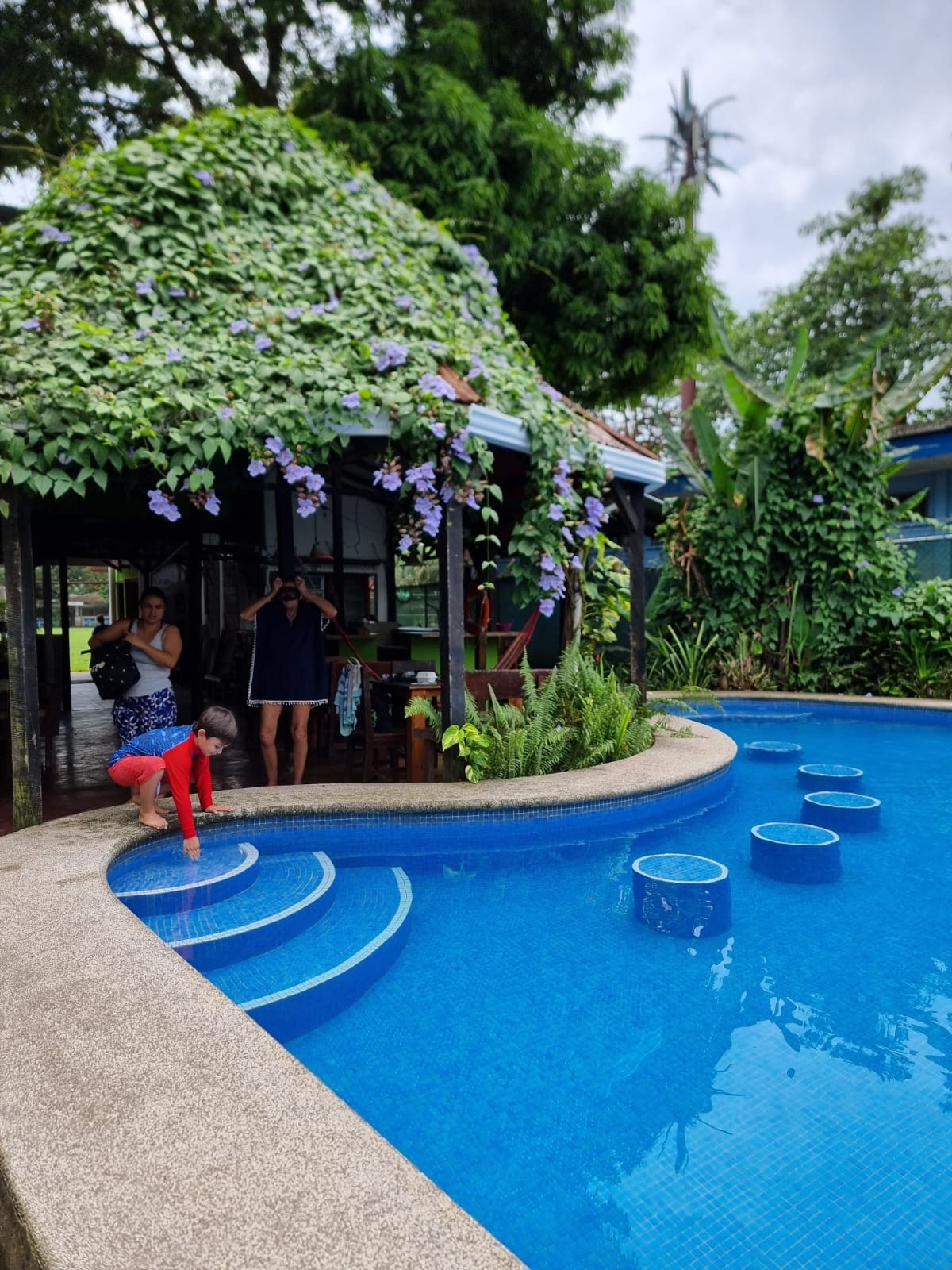 Piscina azul, pérgola y vegetación tropical de La Casona de Tortuguero