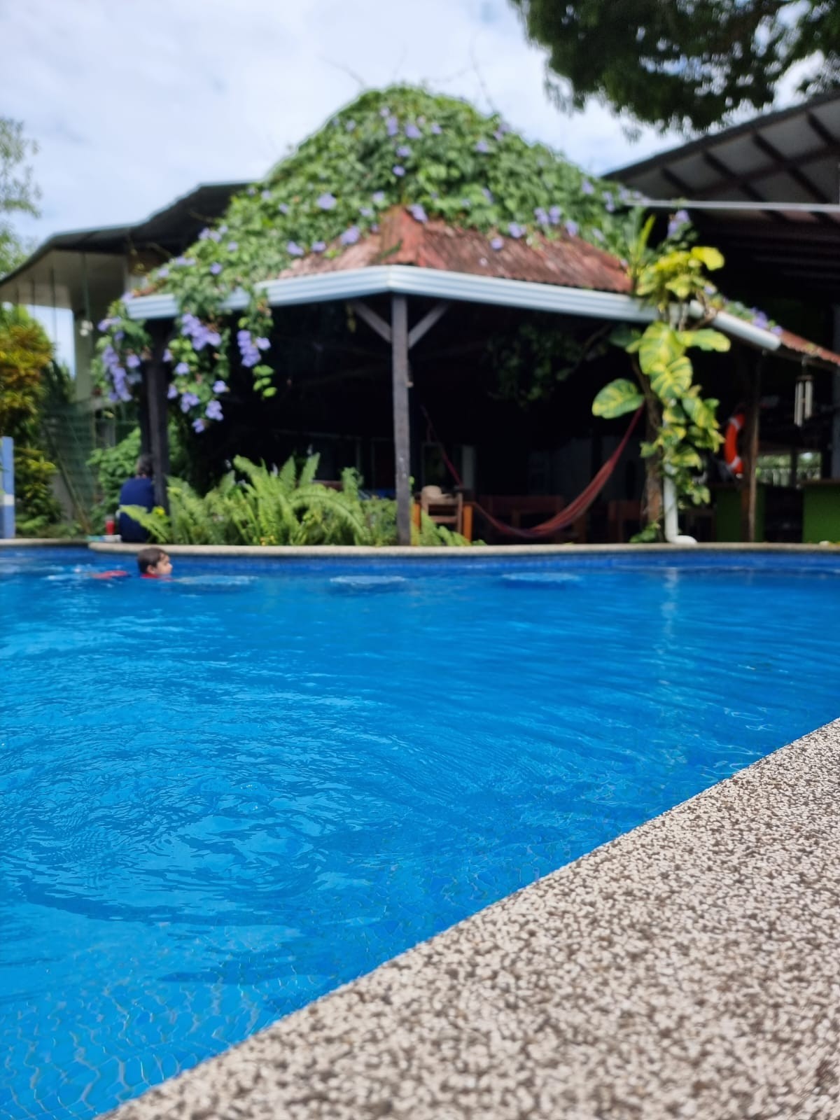 Piscina y pérgola rodeadas de vegetación tropical